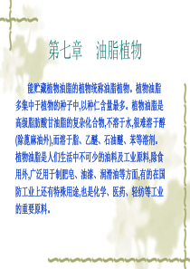 油脂植物