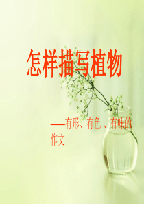 怎样描写植物-PPT课件
