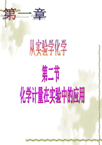高中化学第一章-第二节化学计量在实验中的应用课件-必修1