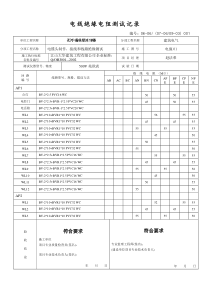 电线绝缘电阻测试记录