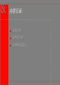 奥美-海尔-波轮洗衣机品牌规划建议