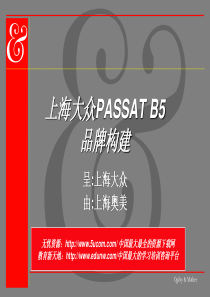 奥美上海大众PASSATB5品牌构建