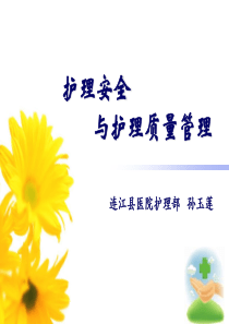 护理-安全与护理-质量管理2013(管理)