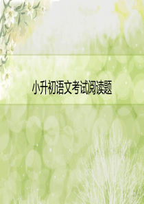 小升初语文考试阅读辅导(优秀课件).ppt