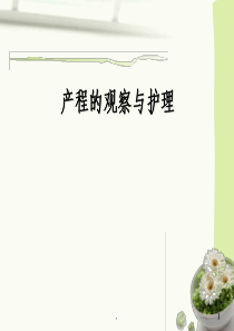 产程的观察和护理ppt课件
