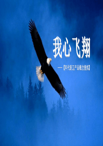 年代品牌概念提炼提案