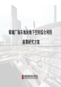 地下空间案例研究最新