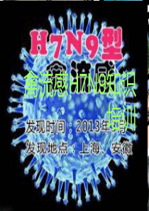 预防禽流感知识课件PPT作品