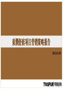 同策X年01月09日上海东润舒庭项目营销策略报告