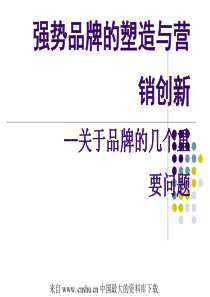 强势品牌的塑造与营销创新--关于品牌的几个重要问题(ppt 79)(1)