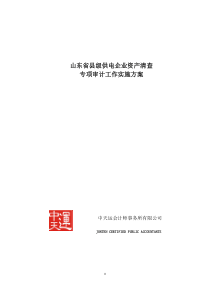 资产清查专项审计
