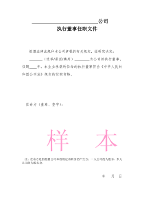 公司执行董事任职文件