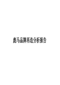 彪马品牌再造分析报告(1)