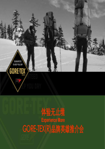 戈尔特斯户外品牌体验无止境活动方案(ppt 88) 