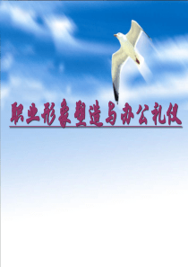 职业化形象塑造