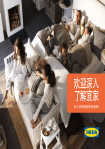 宜家集团财政年度总结报告XXXX