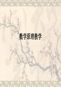 《数学原理教学》PPT课件
