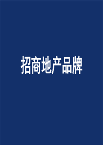 小天鹅A2013年半年度报告
