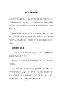 换个角度看洋品牌(DOC 3)