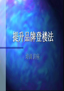 提升品牌登楼法(PPT 14)