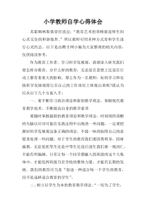 小学教师自学心得体会