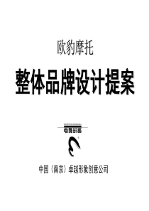 整体品牌设计提案(1)
