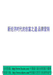 新经济时代的创富之道品牌营销