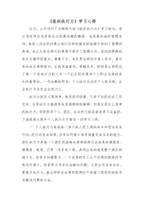 执行力心得体会