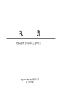 欣和品牌规划与品牌经营基本规范(doc 61)(1)