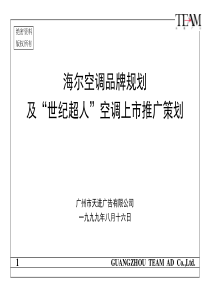 海尔空调品牌规划(PPT 58)