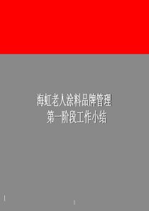 海虹涂料品牌管理(PPT90)