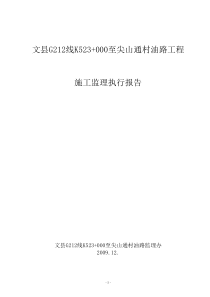 月关路监理执行报告