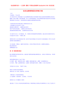 王家荣-宝洁品牌销售团队管理方案