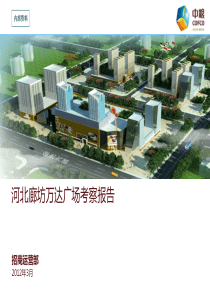河北廊坊万达广场考察报告_41p_X年3月_市场调研_分