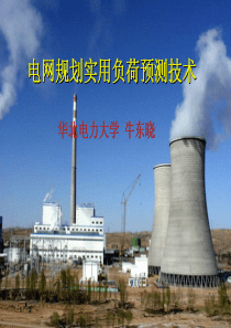 电网规划实用电力负荷预测(牛东晓)