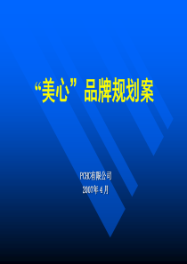 美心品牌规划案AVB