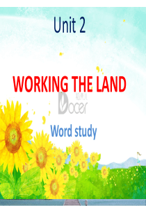 必修四unit-2-working-the-land词汇