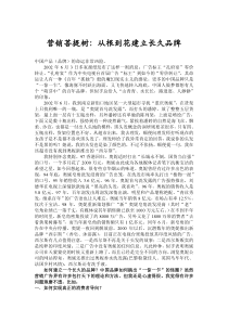 营销菩提树：从根到花建立长久品牌