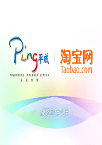 贝克博格淘宝品牌传播推广方案