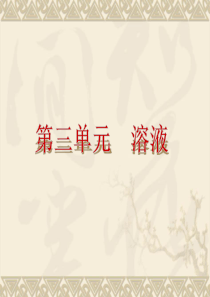 鲁教全国版2014中考一轮复习课件：第4课时-溶液(查漏补缺+专题专练-29ppt)