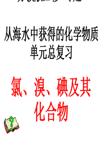 氯、溴、碘及其化合物PPT课件