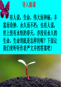 散文二篇《永久的生命》《我为什么而活着》ppt课件3(2)全面版