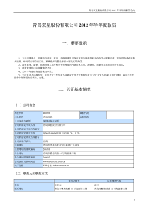 青岛双星XXXX年半年度报告