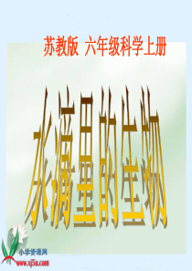 苏教版小学六年级上册《水滴里的生物》PPT