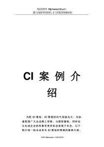 CI案例介绍广东恒丰投资集团有限公司(doc14)
