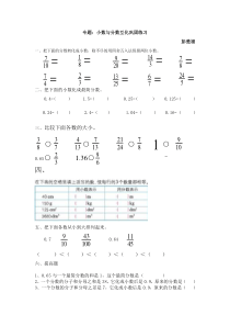 专题：小数与分数互化巩固练习