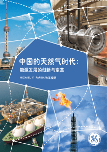中国的天然气时代能源发展的创新与变革（PDF37页）