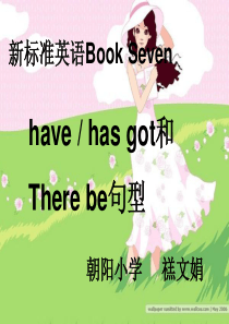 have-got--has-got和There-be句型