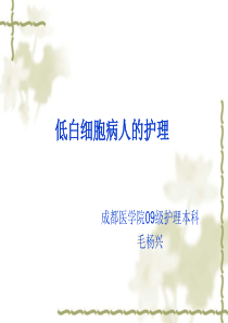 低白细胞病人的护理