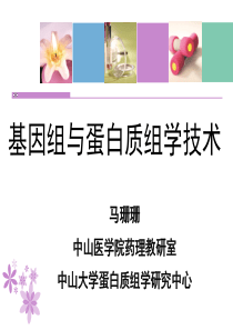 转录调控基本方法-马珊珊